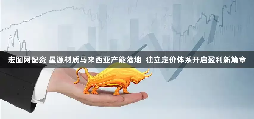 宏图网配资 星源材质马来西亚产能落地  独立定价体系开启盈利新篇章