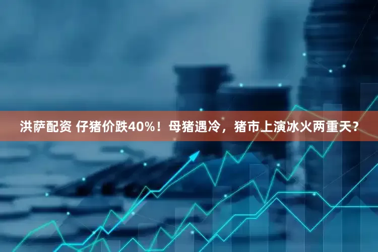 洪萨配资 仔猪价跌40%！母猪遇冷，猪市上演冰火两重天？