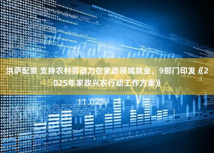 洪萨配资 支持农村劳动力在家政领域就业，9部门印发《2025年家政兴农行动工作方案》
