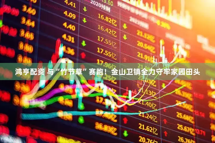 鸿亨配资 与“竹节草”赛跑！金山卫镇全力守牢家园田头