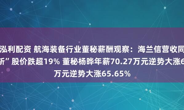 泓利配资 航海装备行业董秘薪酬观察：海兰信营收同比“腰斩”股价跌超19% 董秘杨晔年薪70.27万元逆势大涨65.65%